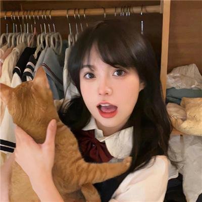 学园孤岛 真人版
