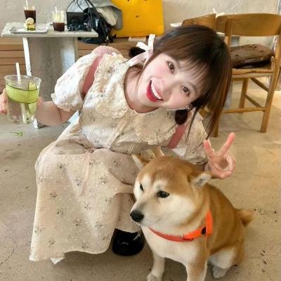 百鸟朝凤