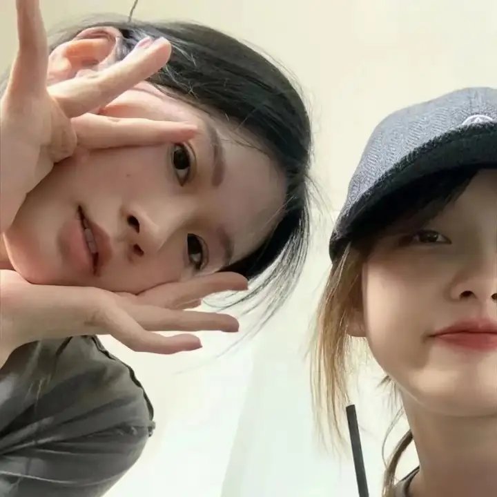 纽约鼠患